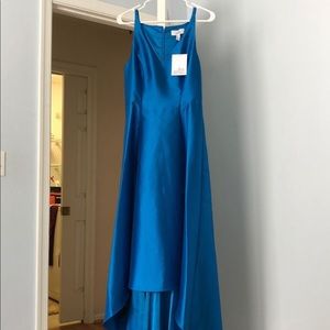 Size 4 Belle Badgley Mischka "Parker" Dress